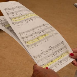 koor Ludiek - Repertoire pop klassiek jazz chansons